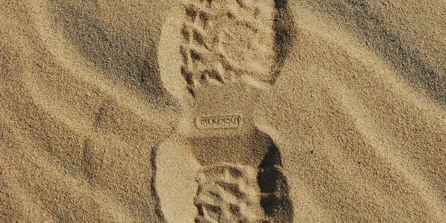 Die Menschheit lebt heute so, als gäbe es etwa zwei Erden für uns. (Bild WWF)