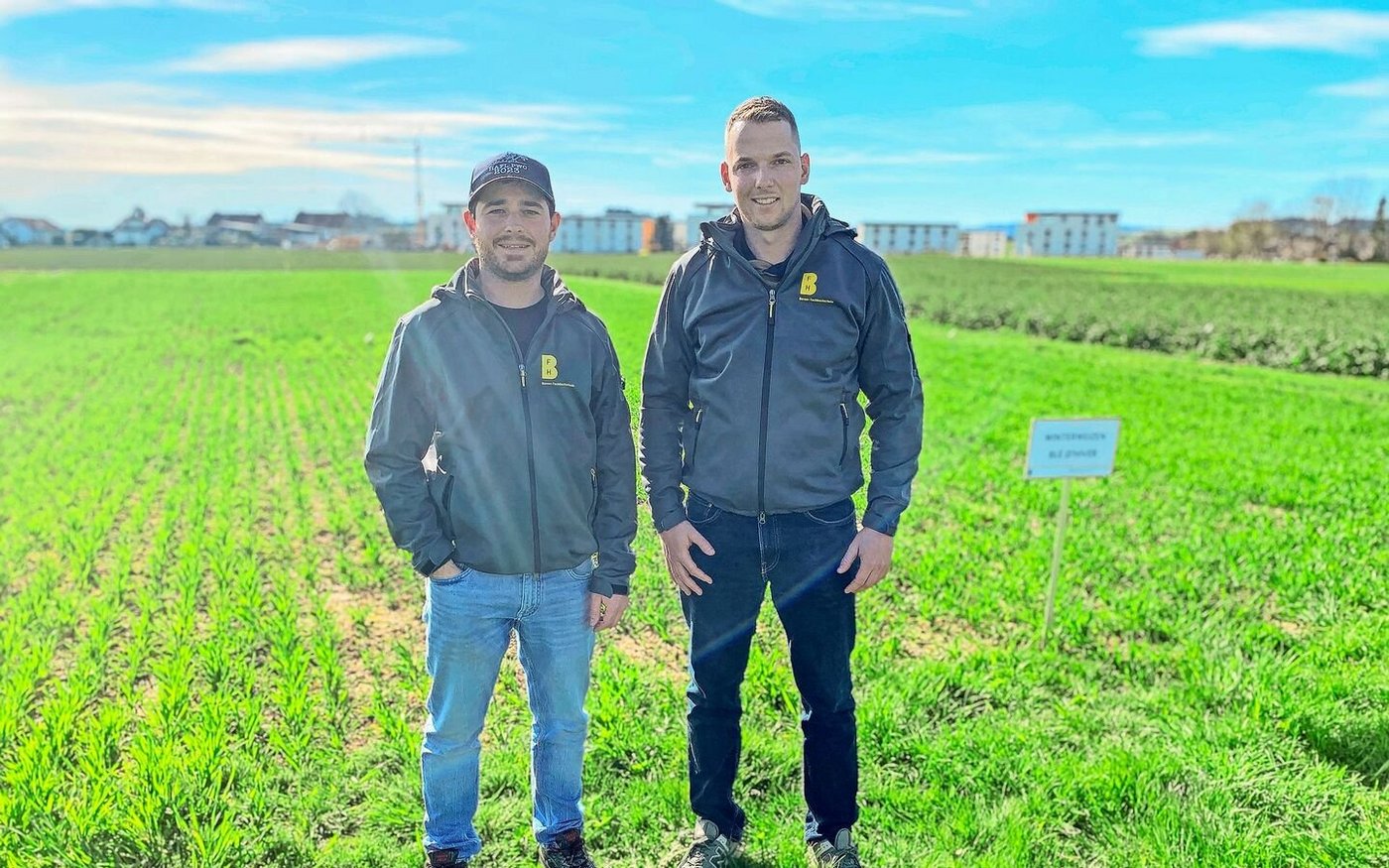 Lorenz Glauser (links) und Lorenz Tschumi sind Mitarbeiter der HAFL und betreuen den Oberacker. 