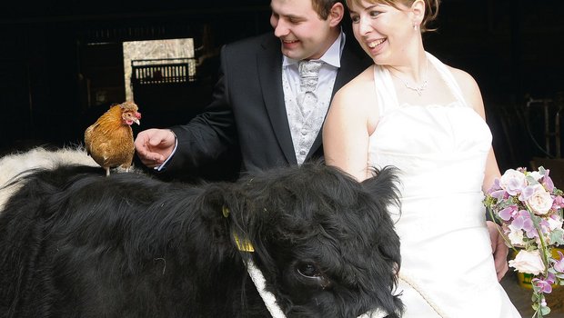 Die schöne Anina ist ein umgängliches und liebes Tier. (Bild zVg)