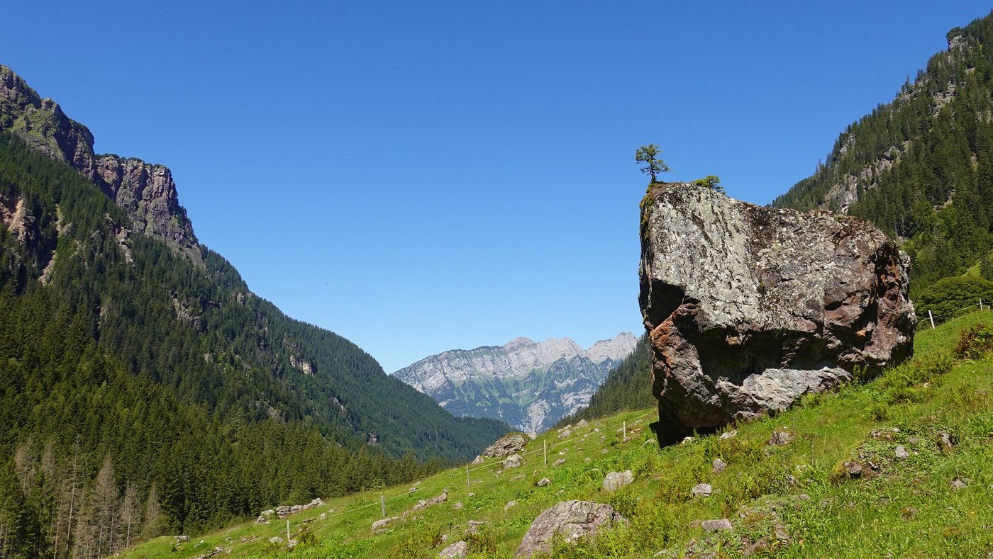 Im Murgtal lebt nachweislich ein Wolfsrudel, Stand Herbst 2020 gab es im Weisstannental ein Paar. (Bild Pixabay)