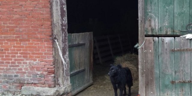 Hier geschah die Tat: Als ihm seine Tiere entzogen werden sollten, sah der 55-jährige Landwirt rot. (Bild  Polizeiinspektion Verden / Osterholz)