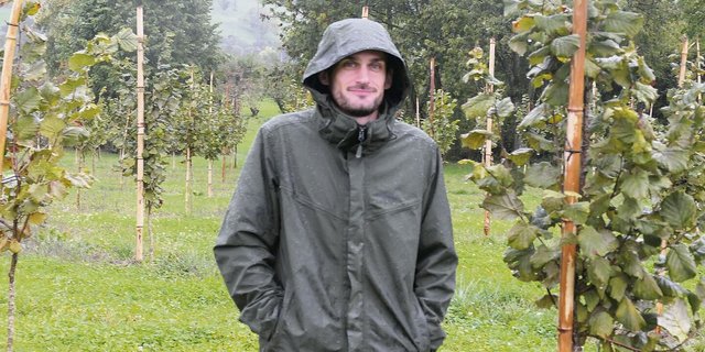 Landwirt Stefan Gerber vor seiner Haselnussanlage in Mettmenstetten. Die ersten Bäume hat er vor zwei Jahren gepflanzt. Bereits gibt es vereinzelt Nüsse.