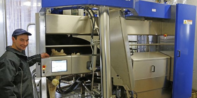 homas Näf spart dank dem Roboter Zeit. Zudem erhält er wichtige Informationen über die Kühe und die Milch. Rund 200'000 Franken kostet ein Melkroboter.  (Bild mw/lid)