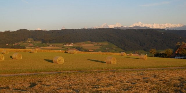 Die Sonderregelungen für die Landwirtschaft werden nicht aufgehoben. (Symbolbild Aline Küenzi)