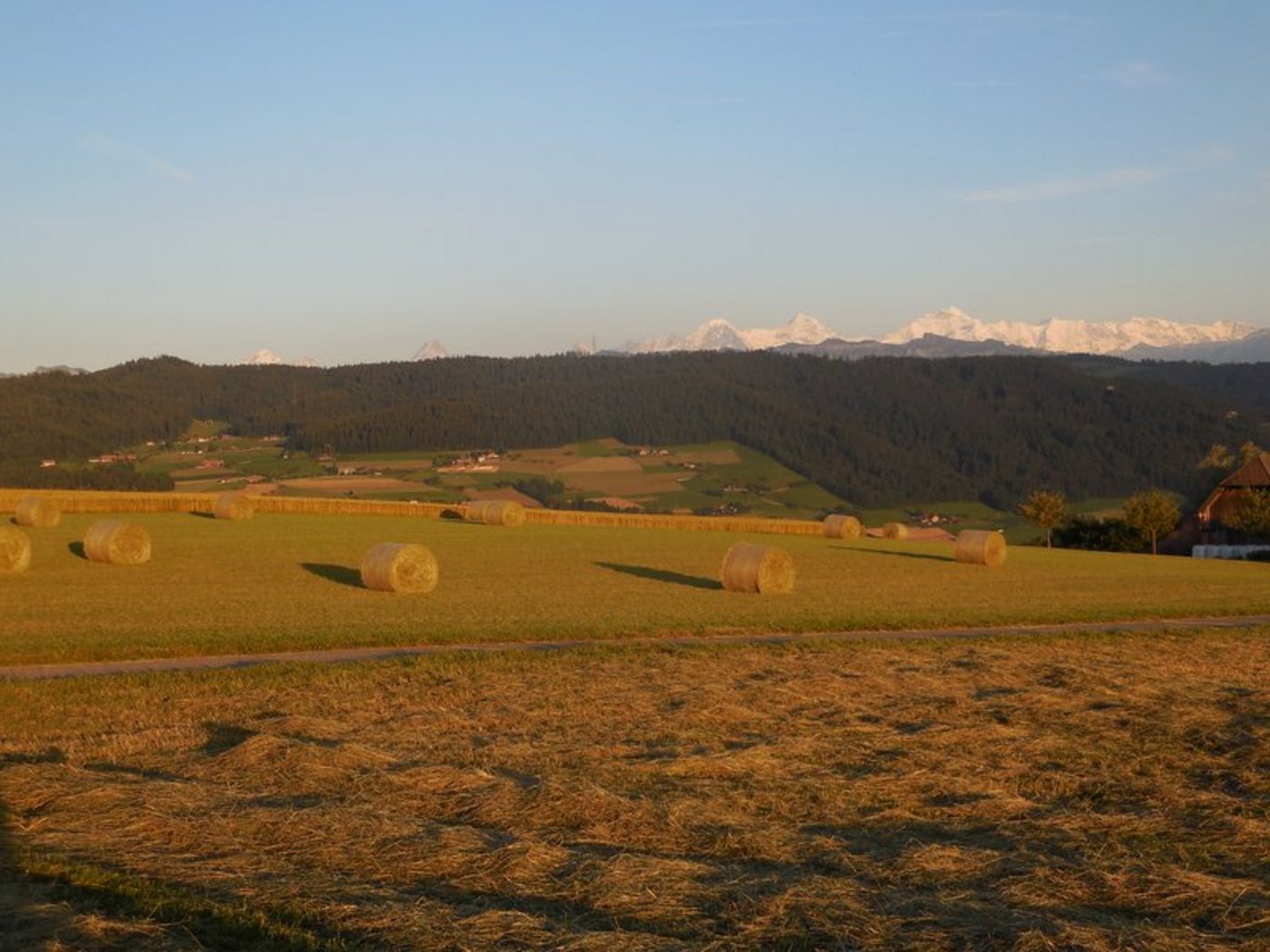 Die Sonderregelungen für die Landwirtschaft werden nicht aufgehoben. (Symbolbild Aline Küenzi)