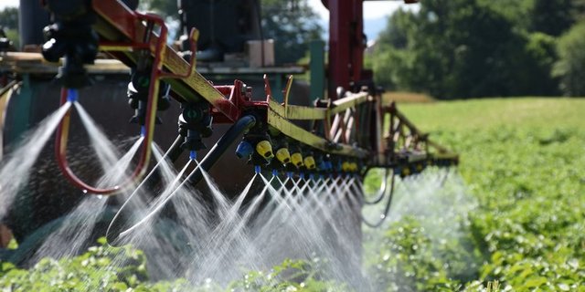 Die Reaktionen auf den Nationalratsentscheid fallen unterschiedlich aus. (Bild Fachstelle Pflanzenschutz Bern)