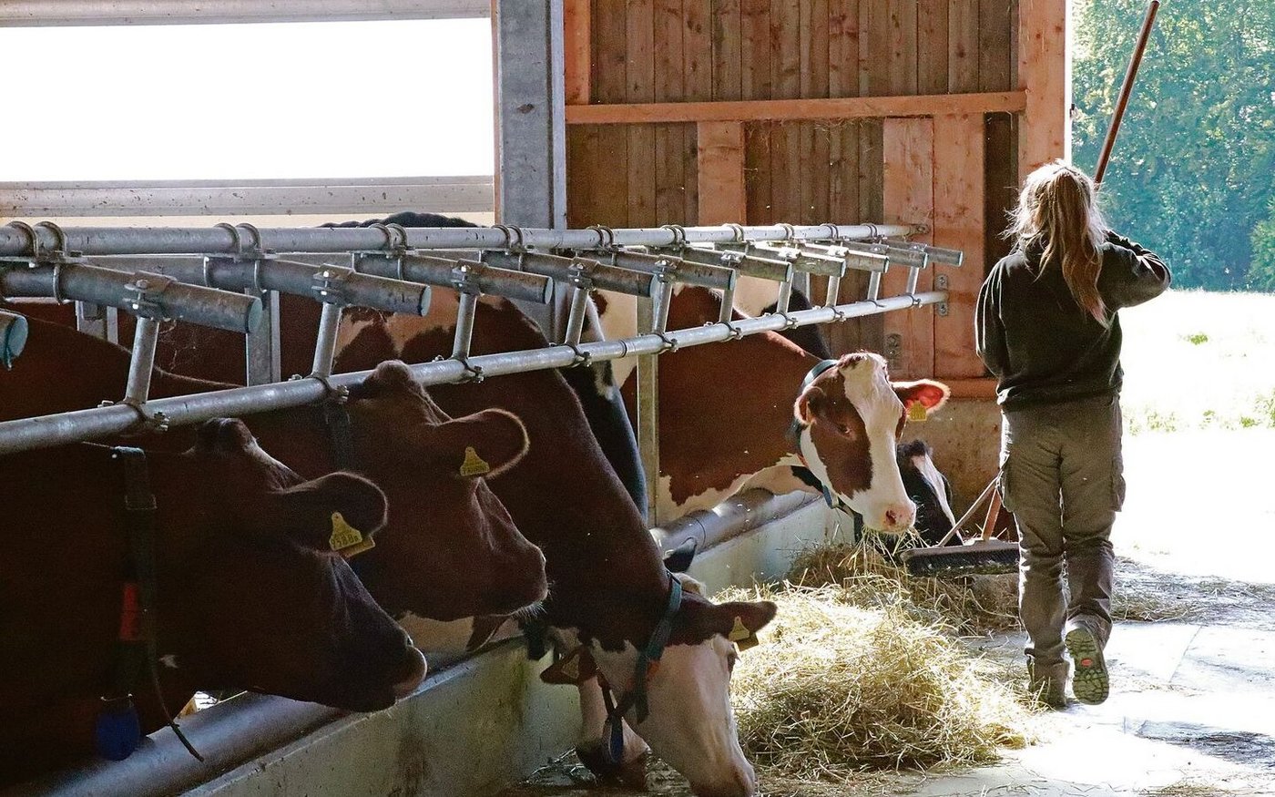 Der Stall ist genauso ihre Domäne wie die Küche: Die Definition der Bäuerin ist in Bewegung, wenn vielleicht auch nur langsam.