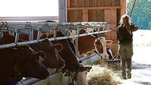 Der Stall ist genauso ihre Domäne wie die Küche: Die Definition der Bäuerin ist in Bewegung, wenn vielleicht auch nur langsam.