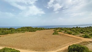 Der Mittelmeerraum hat diesen Sommer in weiten Teilen kaum Regen abbekommen. Trotzdem entzünden sich Feuer nicht durch die Hitze allein, in den allermeisten Fällen ist menschliches Zutun die Brandursache.