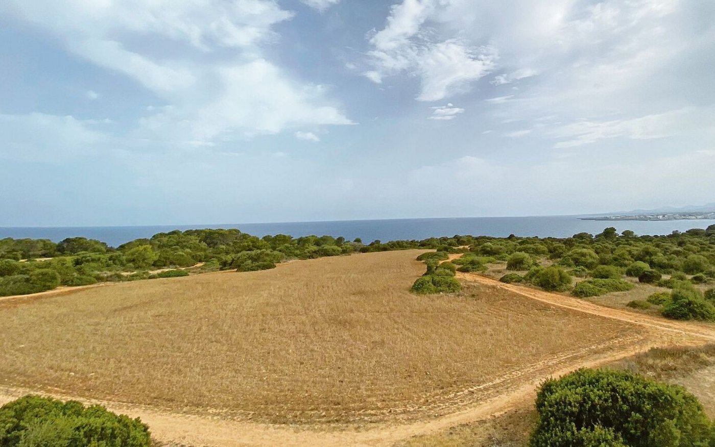 Der Mittelmeerraum hat diesen Sommer in weiten Teilen kaum Regen abbekommen. Trotzdem entzünden sich Feuer nicht durch die Hitze allein, in den allermeisten Fällen ist menschliches Zutun die Brandursache.