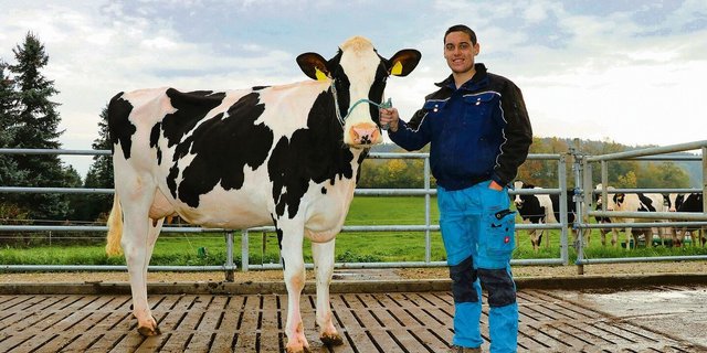 Pascal Luzio mt Kuh Lisa, die er an der Aargauer Auktion ersteigert hat: kein billiger, aber ein guter Kauf.