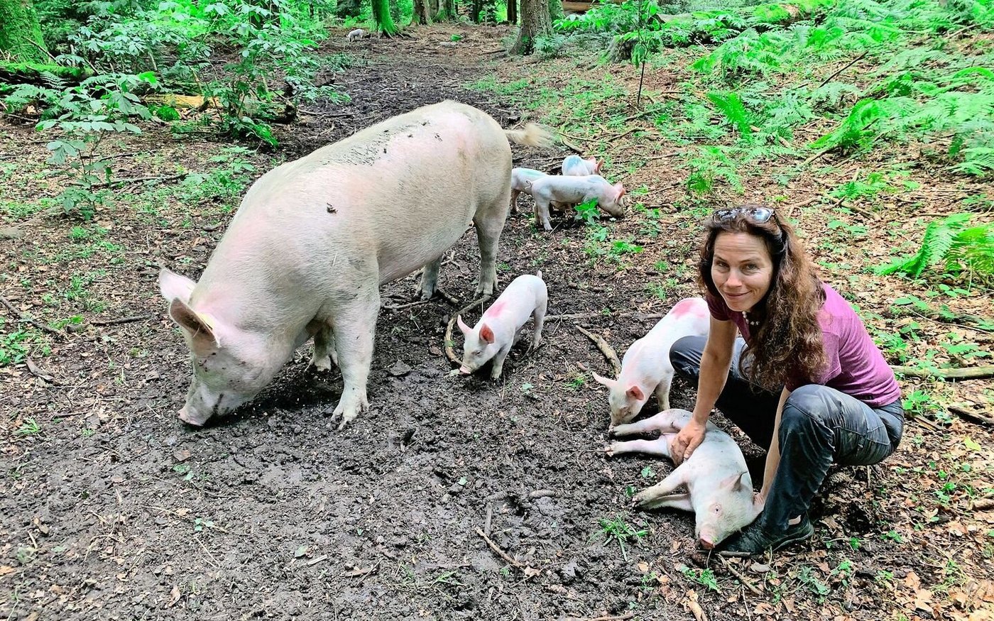 Ursula Küchler im Gehege im Wald mit den Schweinen, deren natürliches Verhalten erforscht wird.