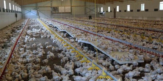 (Bild lid/Josef Kottmann)