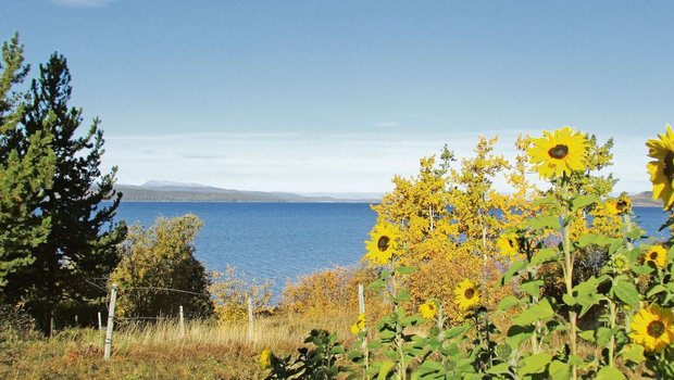 Es «herbstelet» am Ootsa Lake. Die dritte Jahreszeit bringt für die Ruckstuhls neue Herausforderungen. Neben dem Mehraufwand des grossen Umzugs gibt es jedoch auch steuerliche Vorteile in der neuen Heimat.  