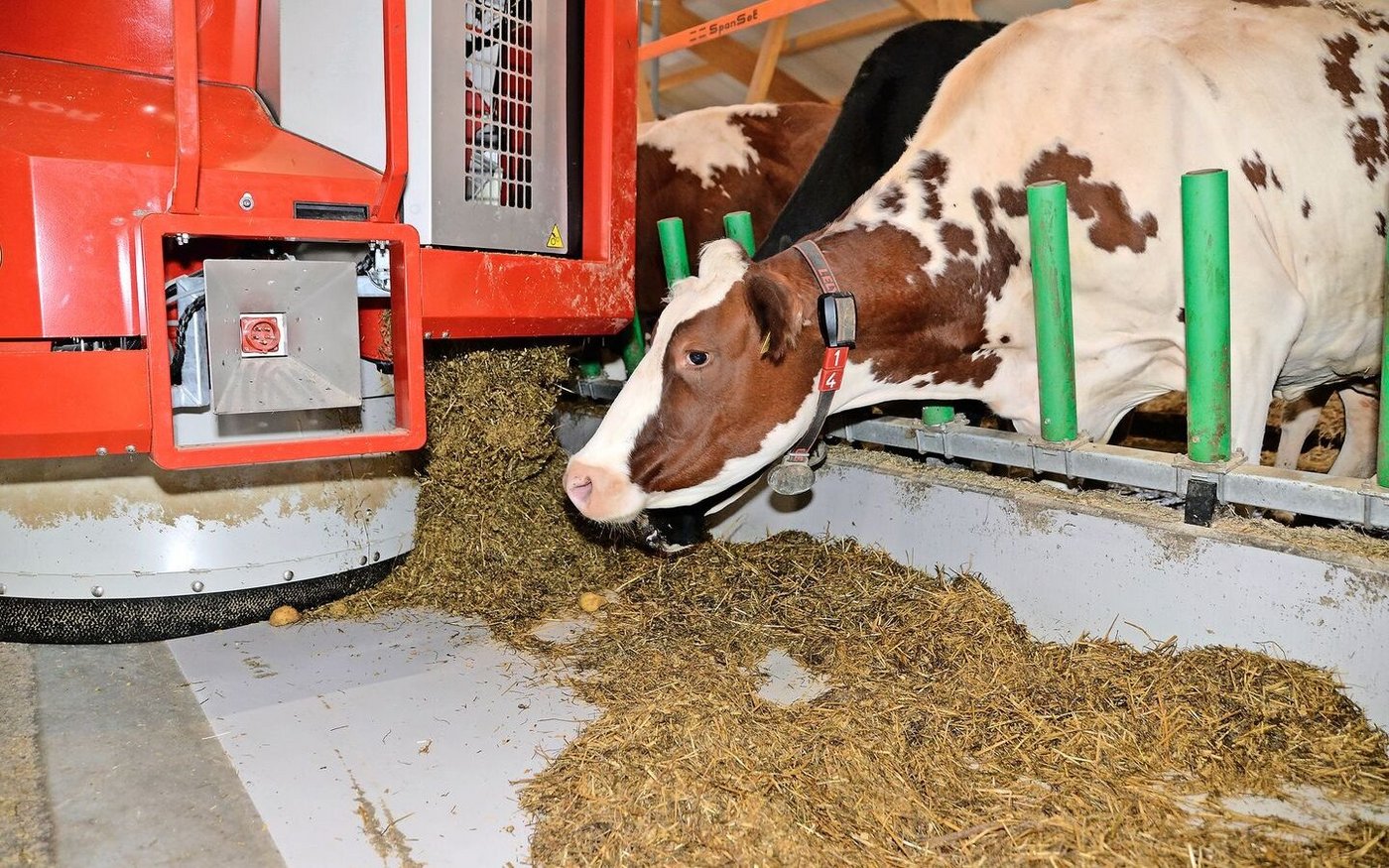 Melkroboter, Entmistungsroboter, Fütterungsroboter (Bild): Automatisierte Systeme sind in der landwirtschaftlichen Praxis schon längst verbreitet.