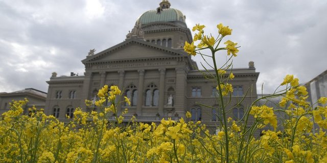 Raps vor dem Bundeshaus: Die Beko soll der Regierung in Landwirtschaftsfragen beraten. (Bild zVg)