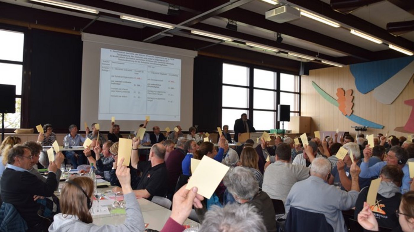 Die Delegiertenversammlung muss einen neuen SFV-Präsidenten wählen. Zudem sucht der Verband jetzt eine Nachfolge für Marie Pfammatter. (Archivbild BauZ)