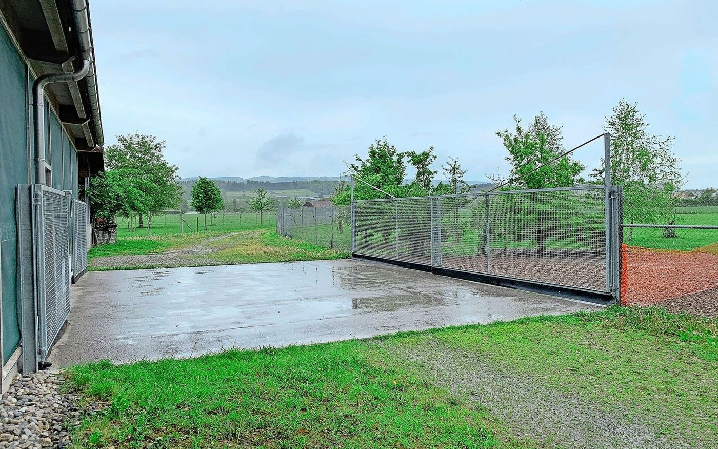 Weidezugang: Ab dem 22. Tag können die Mastpoulets raus. Ausfälle durch Füchse und Raubvögel gibt es – zirka ein Huhn pro Tag.