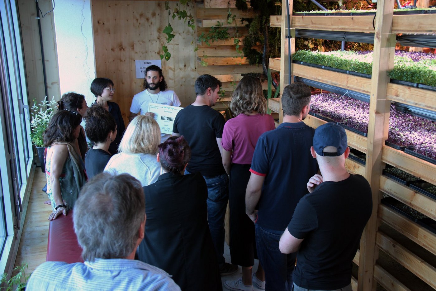 Die Firma Umami spezialisiert sich auf die Produktion und Vertrieb von Keimlingen. (Bild Facebook Umami)