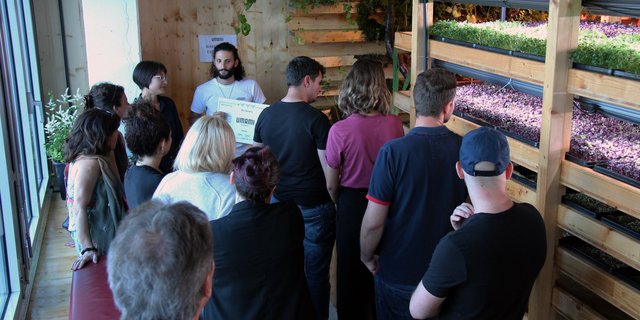 Die Firma Umami spezialisiert sich auf die Produktion und Vertrieb von Keimlingen. (Bild Facebook Umami)