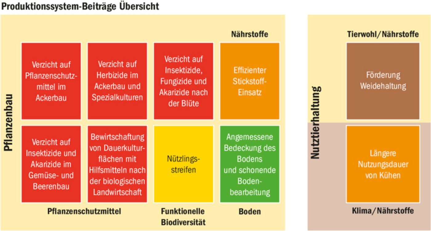 Neun Produktionssystembeiträge, sogenannte PSB, werden 2023 eingeführt (Hintergrund hellgelb). Einzig die Nutzungsdauer von Kühen startet 2024 (rechts unten). 