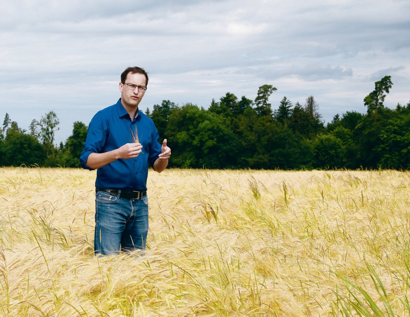 Setzt sich für mehr Swissness im Schweizer Bier ein: Christoph Hagenbuch in seinem Braugerstenfeld.(Bilder Heinz Abegglen)