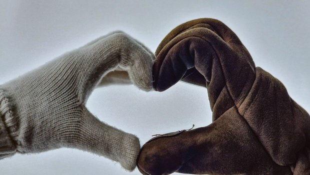 Ob sich Gegensätze anziehen, darüber sind sich nicht alle einig.