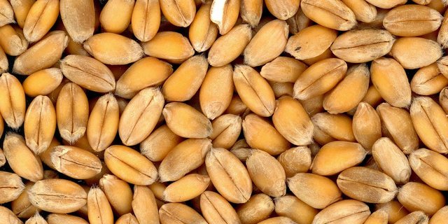 Die Deklassierung war bereits angekündigt worden und namentlich von Uniterre kritisiert. (Bild Pixabay)