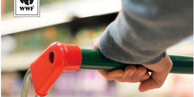 Obwohl es Verbesserungen gebe, sieht der WWF noch diverse Möglichkeiten für Verbesserungen in Sachen Umwelt bei den Schweizer Detailhändlern. (Bild Retail Report WWF)