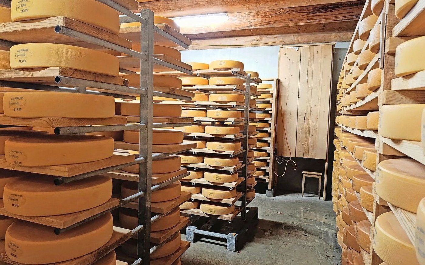 Der Käsekeller füllt sich. Ein grosser Käselaib wiegt bei uns rund 10 Kilogramm.