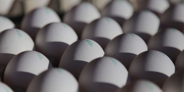 927 Millionen Eier gingen letztes Jahr im Detailhandel über den Ladentisch. (Bild lid/ji)