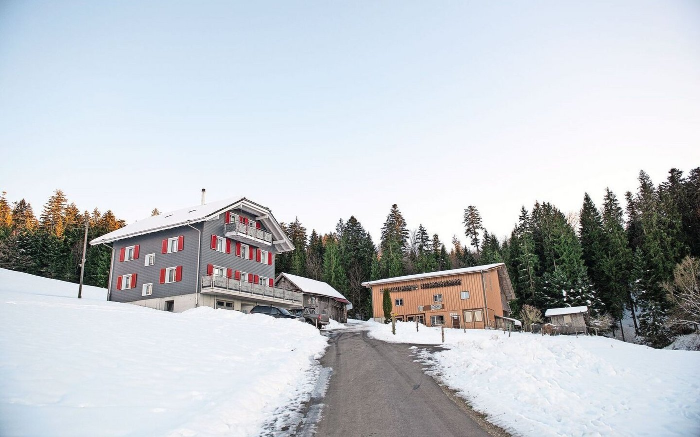 Auf dem Betrieb Under Münenberg wird Braunvieh gezüchtet. Familie Bieri setzt – mit einer einzigen Ausnahme – auf Natursprung.