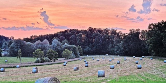 In der Landwirtschaft sind die Tage lang und die Arbeit körperlich fordernd. Welche (finanziellen) Vorteile in der Einkommens-Berechnung berücksichtigt aber werden sollten, ist umstritten.