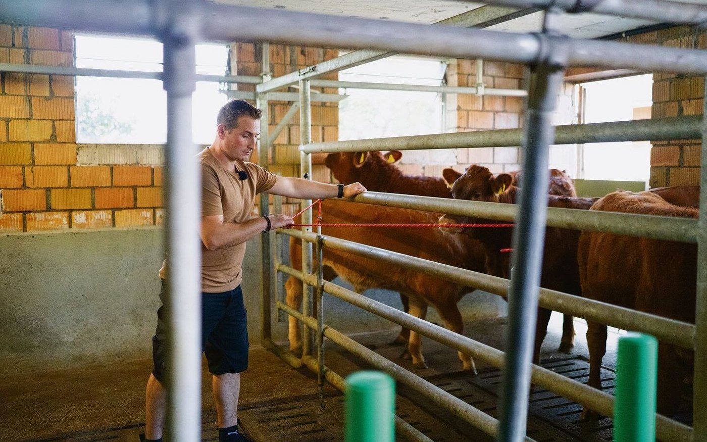 Auf der sicheren Seite: Dank des Gatters kann eine Person alleine arbeiten und muss sich nie in den Risikobereich begeben.