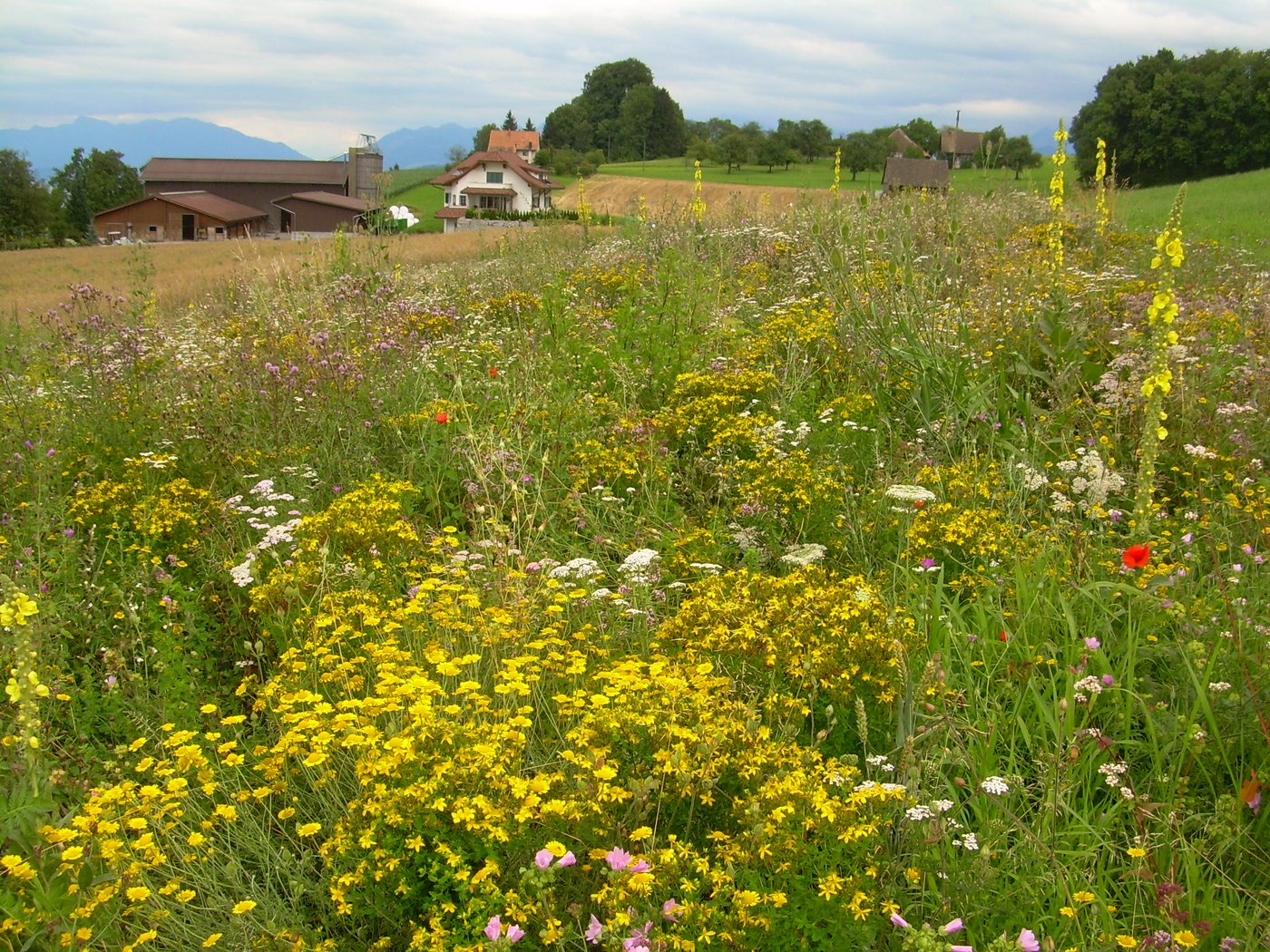 Ein Ressourcenprojekt soll die Nachhaltigkeit der Nutzung für die Landwirtschaft dauerhaft verbessern. 