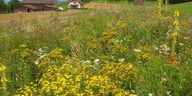 Ein Ressourcenprojekt soll die Nachhaltigkeit der Nutzung für die Landwirtschaft dauerhaft verbessern. 
