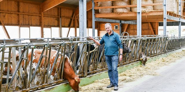 Martin Wüthrich im neuen Stall. Die gute Beobachtung ist ihm wichtig. Täglich treibt er die Kälber auf die Weide. Er erkennt so das Brunstverhalten am einfachsten. Zudem würden die Tiere dadurch auch viel zutraulicher, weiss er.  (Bild Andrea Wyss)