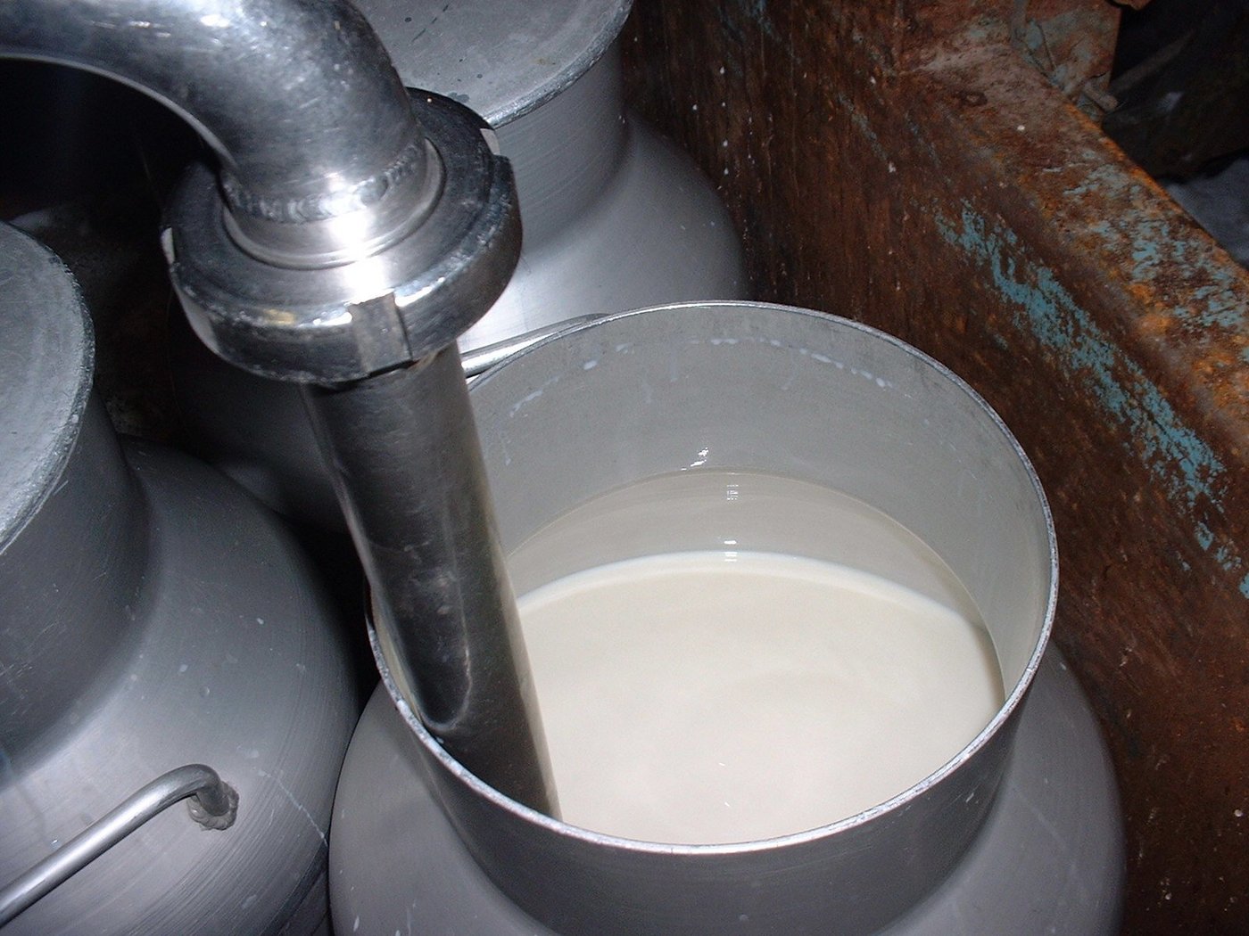 Pro Jahr verarbeitet die Bergkäserei Marbach-Schangnau gegen 20 Mio kg Silomilch - sie wird hauptsächlich zu einem Grosslochkäse verarbeitet. (Symbolbild BauZ) 