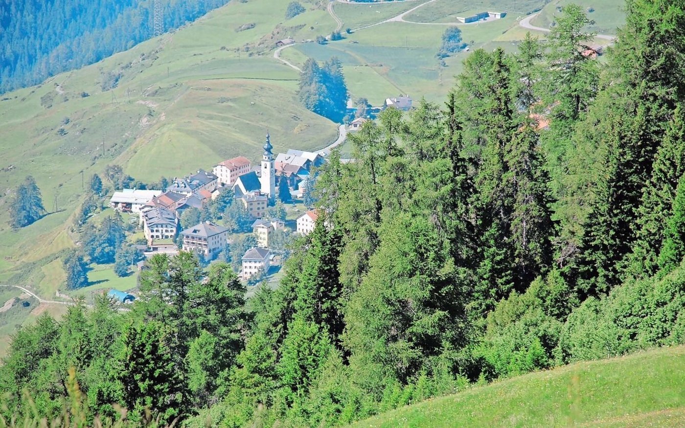 Schutzwald oberhalb von Ftan GR. Der Klimawandel kann die Schutzwirkung beeinträchtigen, die Waldbestände müssten durch Verjüngung angepasst werden, fordern Forstfachleute.  