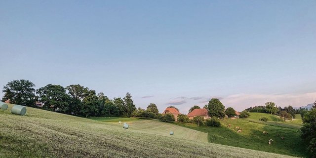 Weil die Erntebedingungen nicht immer so wolkenlos waren wie hier im Bild, ist mit tiefen TS-Gehalten (20 bis 25 % TS) zu rechnen. Das führt zu einem anderen Gärsäuremuster.