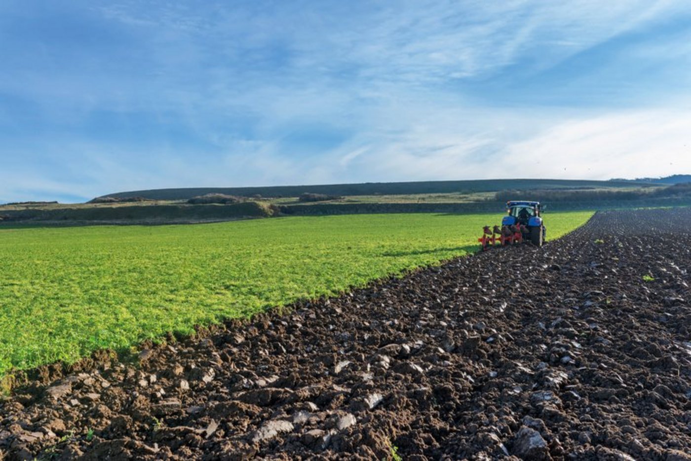 Die bäuerlichen Einkommen lassen sich mit der heutigen Subventionspolitik nicht verbessern. (Bild Fotolia)