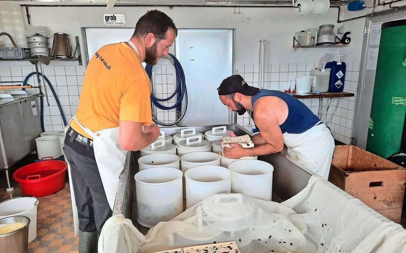 Der geschnittene Käse wird von Zusenn Andreas und Senn Reto in die runden Formen gegeben.