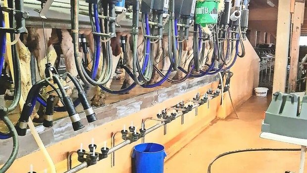 Die regelmässige Wartung der Melkmaschine ist wichtig, um Störungen zu vermeiden.