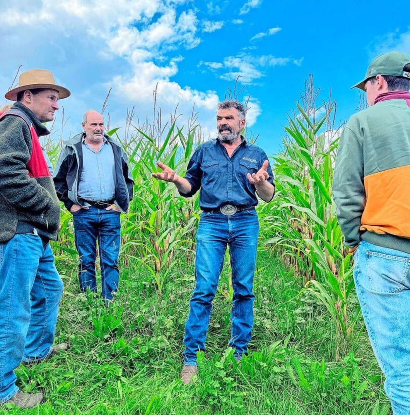 Auf dem diversifizierten Betrieb der Familie Schreiber setzt man auf regenerative Anbaumethoden im Acker- sowie im Futterbau.