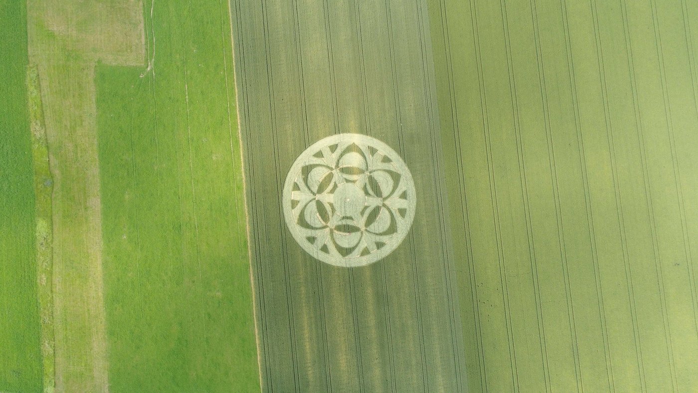 Ein Kornkreis wurde in Büren an der Aare entdeckt. (Bilder zVg)
