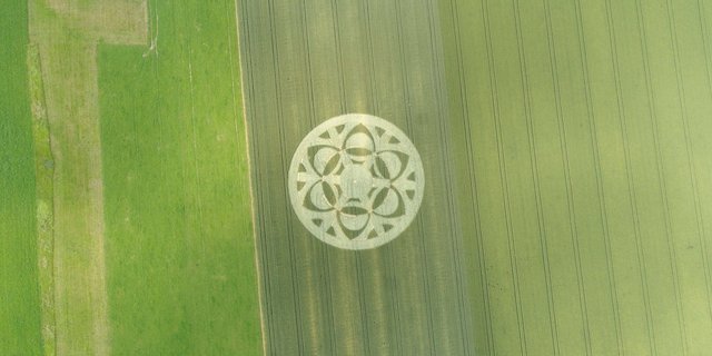 Ein Kornkreis wurde in Büren an der Aare entdeckt. (Bilder zVg)