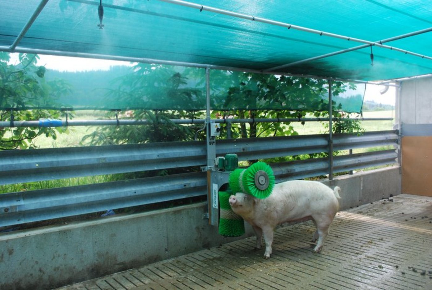 Zu einer umfassend nachhaltigen Ernährungspolitik gehört auch das Tierwohl. Um es zu fördern, solle der Bund beim Konsum ansetzen und die Rahmenbedingungen anpassen. (Bild BauZ)