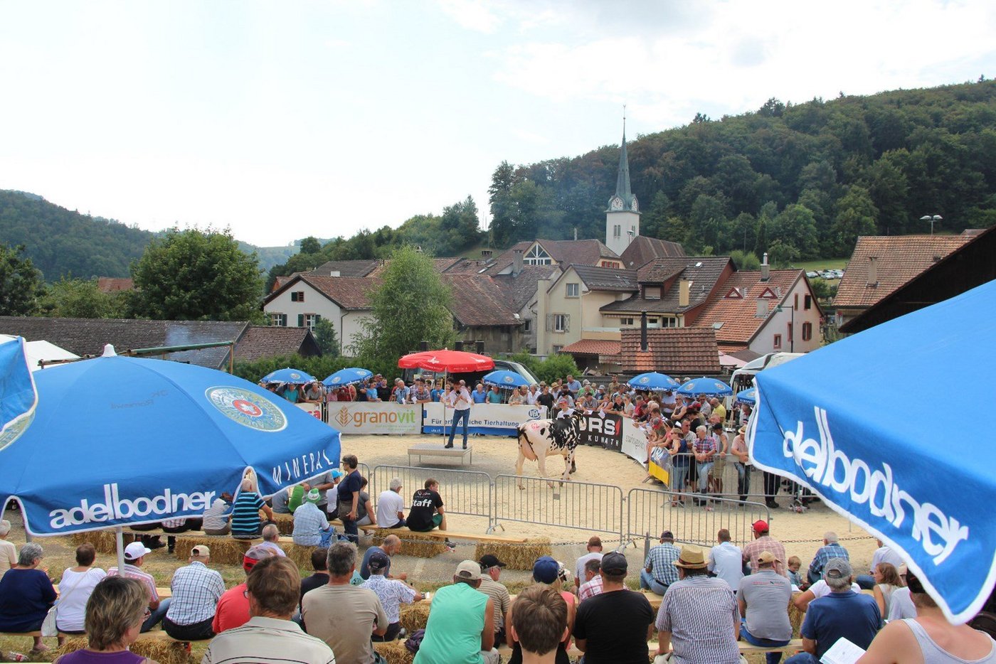 Solche Bilder wird es heuer in Langenbruck nicht geben. Die Auktion wurde abgesagt. Dennoch gibt es die Möglichkeit Tiere zu verkaufen. (Bild BauZ/Hans Rüssli)