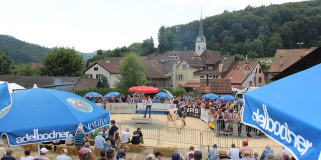 Solche Bilder wird es heuer in Langenbruck nicht geben. Die Auktion wurde abgesagt. Dennoch gibt es die Möglichkeit Tiere zu verkaufen. (Bild BauZ/Hans Rüssli)