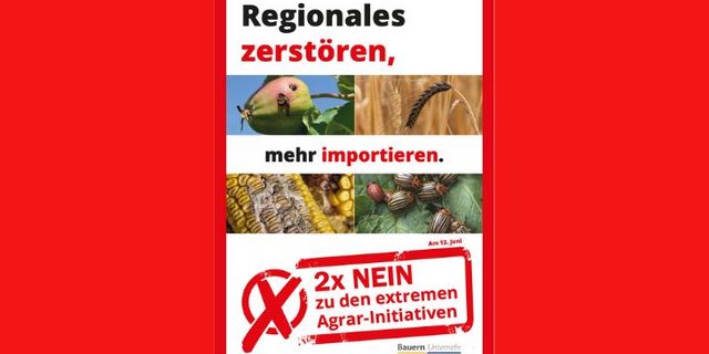 Bei einer Annahme der Pflanzenschutz-Initiativen würden Schweizer Produzenten nicht mehr in der Lage sein, ihre Kulturen vor Schädlingen und Krankheiten zu schützen, so die IG Bauern Unternehmen. (Bild IG Bauern Unternehmen)